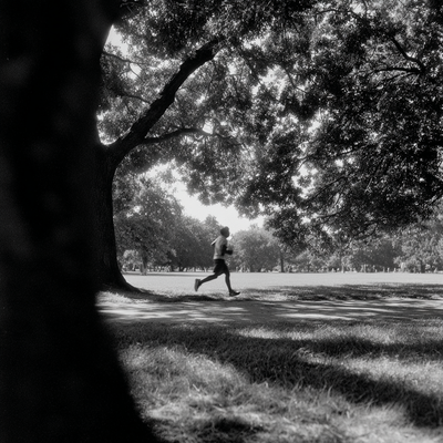 The Power of Momentum